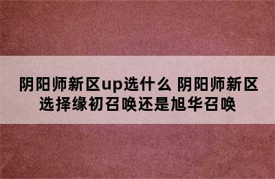 阴阳师新区up选什么 阴阳师新区选择缘初召唤还是旭华召唤